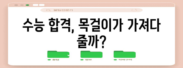 수능 목걸이, 진짜 효과 있을까? | 수능, 합격, 부적, 미신, 효능