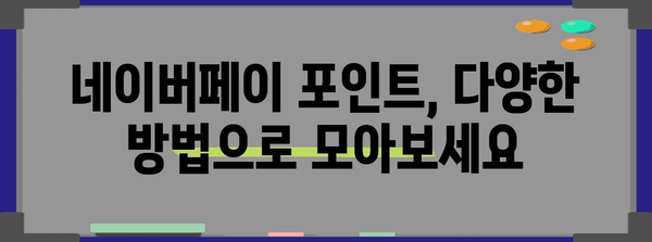 포인트 습득 꿀팁 | 네이버페이 사용법 총정리