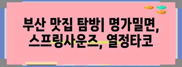 부산명가밀면 스프링사운즈 열정타코 | 맛있는녀석들의 추천
