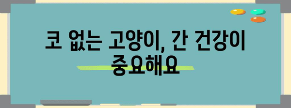 코 없는 고양이 간수치 관리하기 | 증상, 대처법