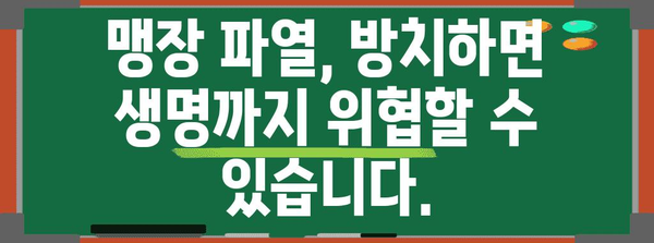 맹장 파열의 심각성 | 즉각적인 치료의 중요성