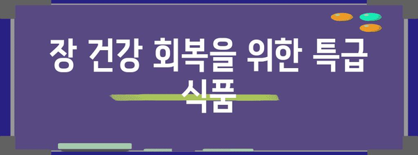 장염 빠른 회복을 위한 효과적인 식품 | 염증 완화와 회복 촉진