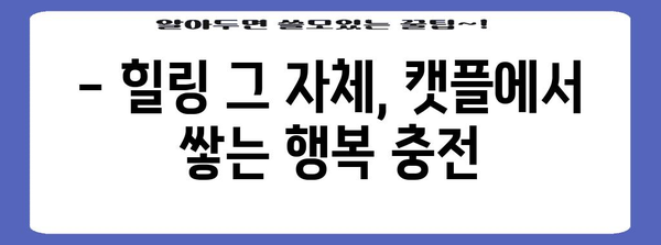 하남의 캣플 고양이 카페 후기 | 귀여운 고양이들과 보내는 행복한 시간