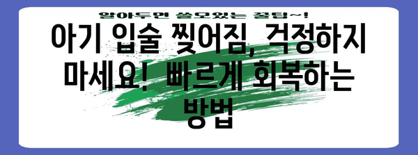 아기 입술 찢어짐 치료 | 안심 가이드