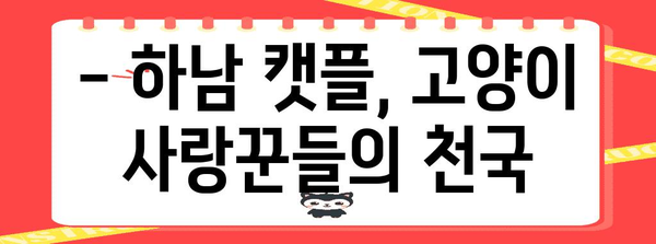 하남의 캣플 고양이 카페 후기 | 귀여운 고양이들과 보내는 행복한 시간