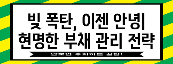 부채 관리 가이드 | 신용카드 현금서비스, 리볼빙, 카드론