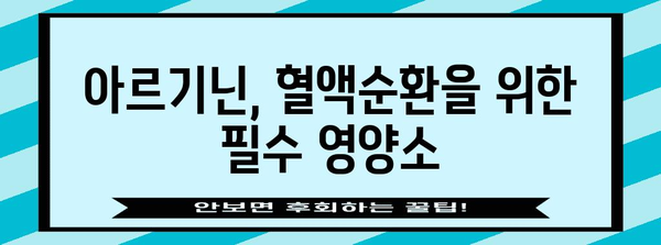 혈액순환 개선의 히어로 | 아르기닌의 효능과 작동 메커니즘