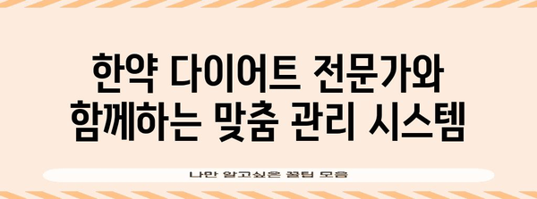 한약 다이어트 맞춤 가이드 | 나에게 맞는 완벽한 처방