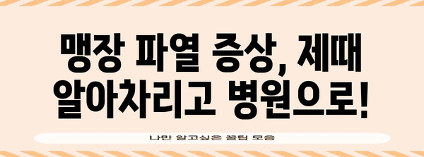 맹장 파열의 심각성 | 즉각적인 치료의 중요성