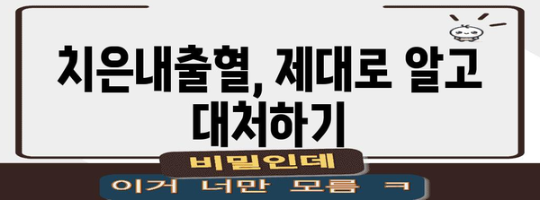 구강 건강 지름길 | 잇몸피 예방과 치은내출혈 대처법