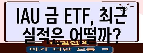 금 ETF IAU 수익률 실적과 현황