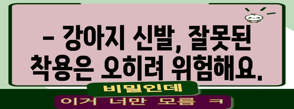 [강아지 산책 신발 주의 사항 | 안전한 선택 기준]