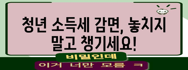 2023 연말정산 청년 소득세 감면 꿀팁| 최대 혜택 받는 방법 알아보기 | 소득세, 감면, 연말정산, 청년, 혜택, 가이드