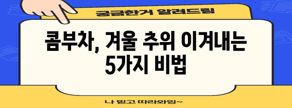 겨울철 면역력 강화! 콤부차의 5가지 이점