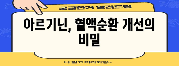 혈액순환 개선의 히어로 | 아르기닌의 효능과 작동 메커니즘