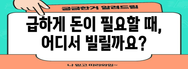 즉각 소액 대출 | 긴급 자금 조달 방법 탐구