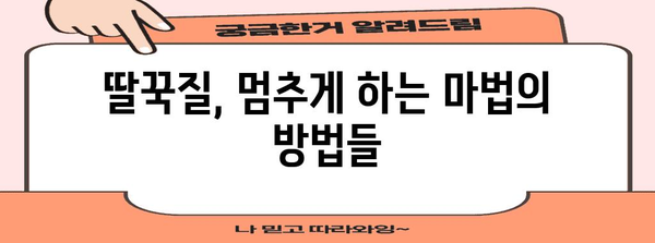 신생아 딸꾹질 해결 책 | 5가지 효과적인 방법