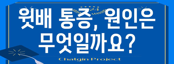 윗배 통증 | 무시 금지, 증상, 원인, 치료법, 예방