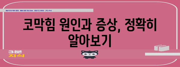 코 막힘 해결책 | 코맹맹까지 완화하는 효과적인 방법