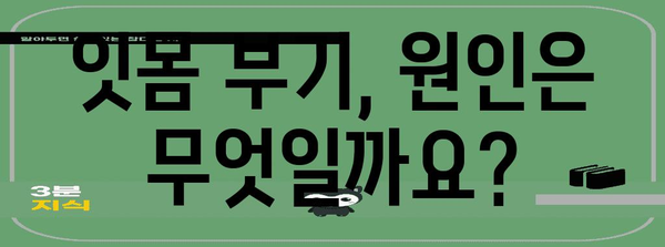 잇몸 부기의 진단 요령 | 치과 방문이 필요한가?