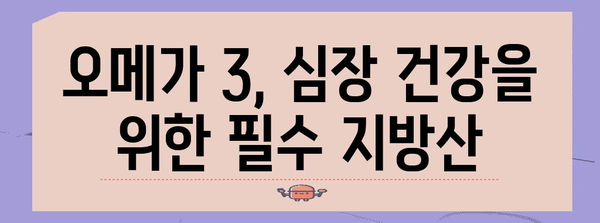 오메가 3와 심혈관 건강 | 건강한 심장을 위한 필수 식단