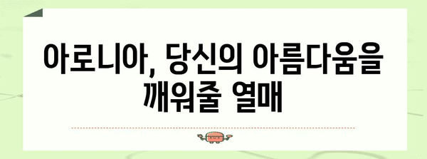 아로니아, 건강과 미용의 숨겨진 보석 | 7가지 놀라운 효능