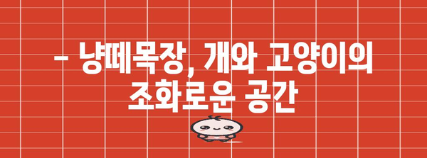 일산 냥떼목장! 개와 고양이가 조화롭게 어우러진 고양이 카페