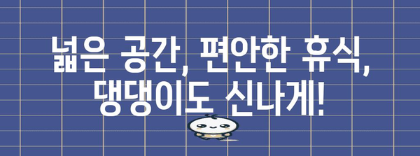 애견 동반 가능한 여주 노출 카페 | 띵똥이 카페 체험기