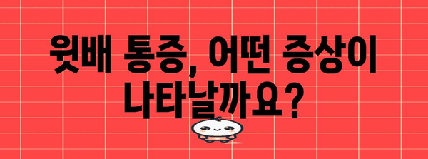 윗배 통증 | 무시 금지, 증상, 원인, 치료법, 예방