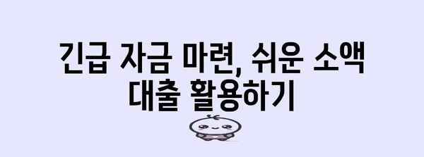 즉각 소액 대출 | 긴급 자금 조달 방법 탐구