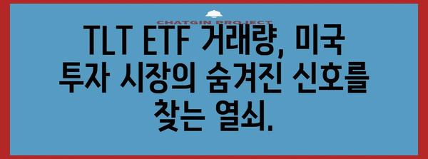 TLT ETF 거래량 분석 | 미국 투자 시장의 숨겨진 신호