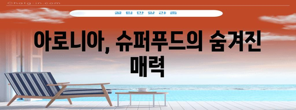 아로니아, 건강과 미용의 숨겨진 보석 | 7가지 놀라운 효능