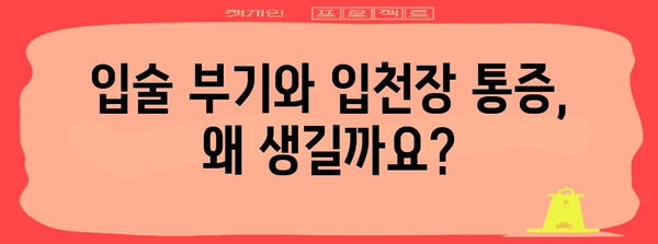 입술 부기와 입천장 통증 해결하기 | 원인과 완벽 가이드