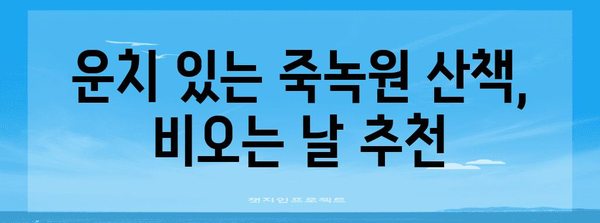 비오는 날 담양 여행 | 죽녹원 산림욕의 매력