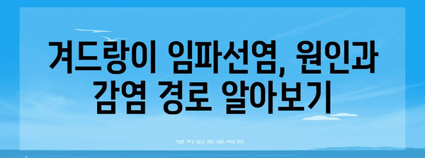 겨드랑이 임파선염 완벽 이해 | 증상, 원인, 의학적 관리