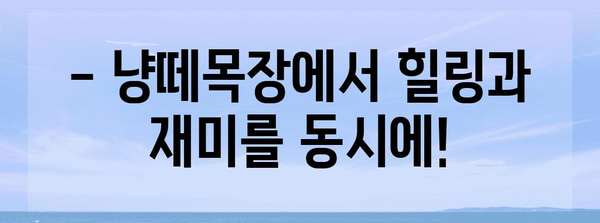 일산 냥떼목장! 개와 고양이가 조화롭게 어우러진 고양이 카페