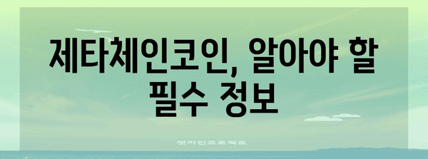 제타체인코인 투자 안내서 | 정보, 전망, 분석