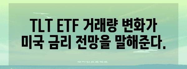 TLT ETF 거래량 분석 | 미국 투자 시장의 숨겨진 신호