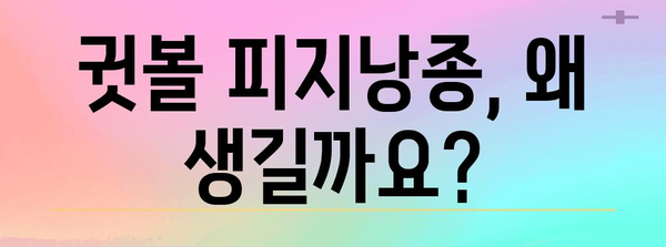 귓볼 피지낭종 해결법 가이드 | 원인 파악과 관리 팁