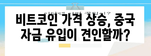 비트코인 가격 상승 예측 | 중국 자금 유입 가능성