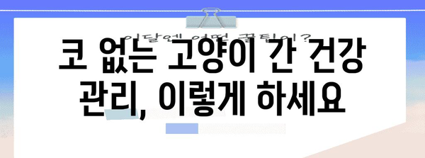 코 없는 고양이 간수치 관리하기 | 증상, 대처법