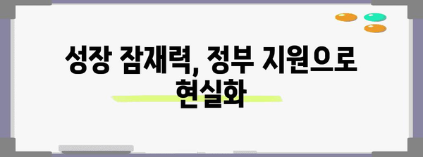 정부 자금 지원을 활용한 중소기업 성장 가속화