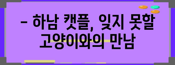 하남의 캣플 고양이 카페 후기 | 귀여운 고양이들과 보내는 행복한 시간