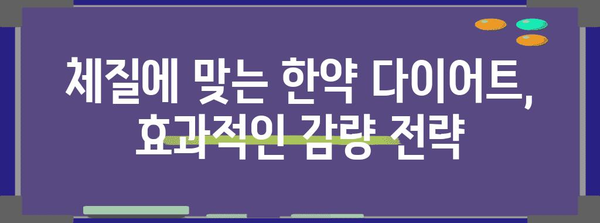 한약 다이어트 맞춤 가이드 | 나에게 맞는 완벽한 처방