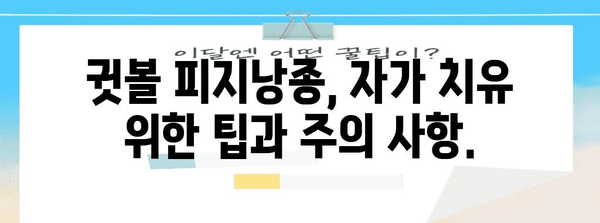 귓볼 피지낭종 자가 치유의 완벽한 안내서