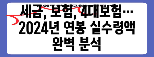 2024년 연봉 실수령액 가이드 | 정확한 내년 수입 확인