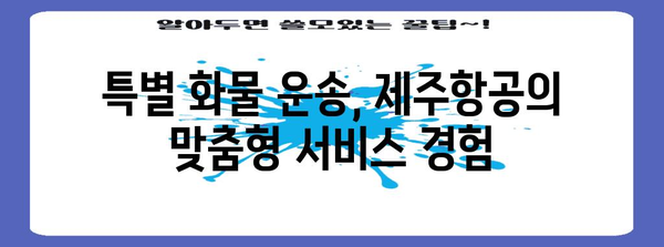 제주항공 화물 요금표 분석 | 효율적인 운송을 위한 가이드