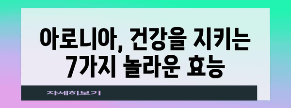 아로니아, 건강과 미용의 숨겨진 보석 | 7가지 놀라운 효능