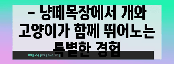 일산 냥떼목장! 개와 고양이가 조화롭게 어우러진 고양이 카페