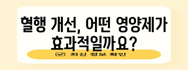 최상의 혈행개선 영양제 가이드 | 필수 지침 및 유의사항